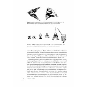 IDENTIFYING & INTERPRETING ANIMAL BONES. A MANUAL 6
