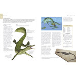 ENCICLOPEDIA ILUSTRADA DE LOS DINOSAURIOS 3