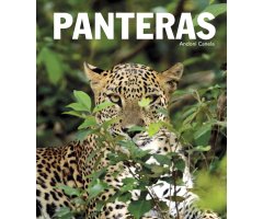 PANTERAS