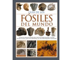 GUÍA DE LOS FÓSILES DEL MUNDO                                                                                                                         