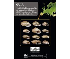 GUÍA VARIABILIDAD INTRAESPECÍFICA DE LAS CONCHAS DEL GÉNERO IBERUS MONTFORT, 1810 DEL SUR DE LA PENÍNSULA IBÉRICA