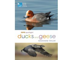 RSPB SPOTLIGHT. DUCKS AND GEESE