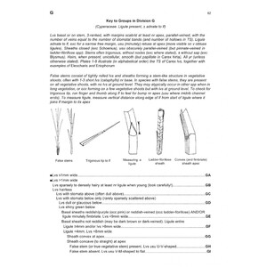 THE VEGETATIVE KEY TO THE BRITISH FLORA. A NEW APPROACH TO NAMING BRITISH & IRISH VASCULAR PLANTS BASED ON VEGETATIVE CHARACTERS 3