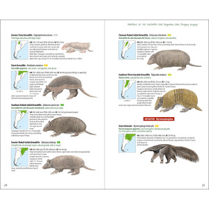 LYNX ILLUSTRATED CHECKLISTS. MAMMALS OF THE SOUTHERN CONE. ARGENTINA, CHILE, PARAGUAY, URUGUAY 3