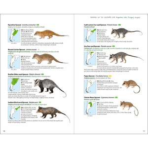 LYNX ILLUSTRATED CHECKLISTS. MAMMALS OF THE SOUTHERN CONE. ARGENTINA, CHILE, PARAGUAY, URUGUAY 4
