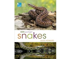 RSPB SPOTLIGHT SNAKES