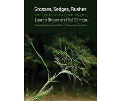 GRASSES, SEDGES, RUSHES: AN IDENTIFICATION GUIDE