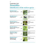 DRAGONS AND DAMSELS. AN IDENTIFICATION TO BRITISH AND IRISH ODONATA 3