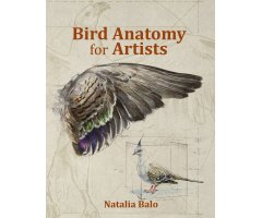 BIRD ANATOMY FOR ARTISTS COMPREHENSIVE GUIDE TO DRAWING BIRDS FOR ARTISTS AND BIRD LOVERS