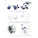 BIRD ANATOMY FOR ARTISTS COMPREHENSIVE GUIDE TO DRAWING BIRDS FOR ARTISTS AND BIRD LOVERS 6