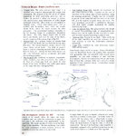 BIRD ANATOMY FOR ARTISTS COMPREHENSIVE GUIDE TO DRAWING BIRDS FOR ARTISTS AND BIRD LOVERS 8