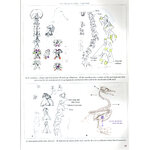 BIRD ANATOMY FOR ARTISTS COMPREHENSIVE GUIDE TO DRAWING BIRDS FOR ARTISTS AND BIRD LOVERS 9