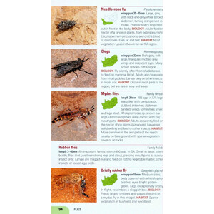 POCKET GUIDE INSECTS OF SOUTH AFRICA 3