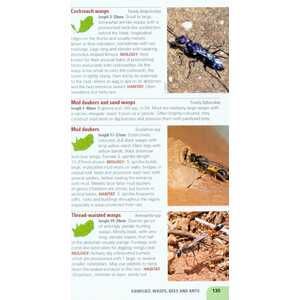 POCKET GUIDE INSECTS OF SOUTH AFRICA 4