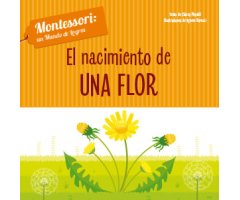 EL NACIMIENTO DE UNA FLOR