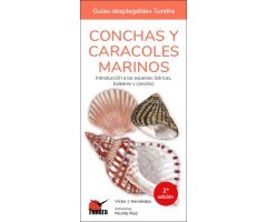 CONCHAS Y CARACOLES MARINOS. INTRODUCCIÓN A LAS ESPECIES IBÉRICAS, BALEARES Y CANARIAS. GUÍAS DESPLEGABLES TUNDRA