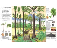 GRAN LIBRO DEL ÁRBOL Y EL BOSQUE 2