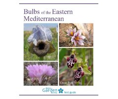 BULBS OF THE EASTERN MEDITERRANEAN