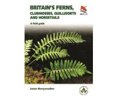 BRITAIN'S FERNS, CLUBMOSSES, QUILLWORTS AND HORSETAILS. A FIELD GUIDE