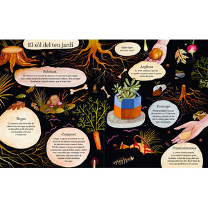 FLORS I VIOLES. UN JARDINET A CASA_1