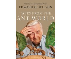 TALES FROM THE ANT WORLD