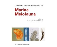 GUIDE TO THE IDENTIFICATION OF MARINE MEIOFAUNA                                                                                                       