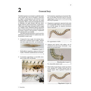 GUIDE TO THE IDENTIFICATION OF MARINE MEIOFAUNA_1