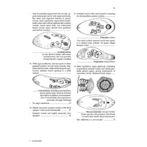 GUIDE TO THE IDENTIFICATION OF MARINE MEIOFAUNA 3