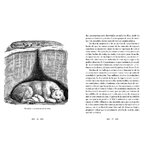 ANIMALES ARQUITECTOS_1