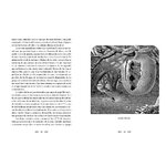 ANIMALES ARQUITECTOS 4
