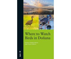 WHERE TO WATCH BIRDS IN DOÑANA