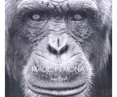 MADE IN MONA