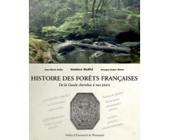 HISTOIRE DES FORÊTS FRANÇAISES - DE LA GAULLE CHEVELUE À NOS JOURS