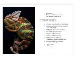 LIZARDS OF THE WORLD. A GUIDE OF EVERY FAMILY 2