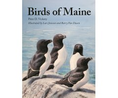 BIRDS OF MAINE
