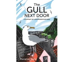 THE GULL NEXT DOOR. A PORTRAIT OF A MISUNDERSTOOD BIRD