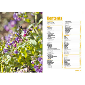 BEE GARDEN. ALL YOU NEED TO KNOW IN ONE CONCISE MANUAL_1
