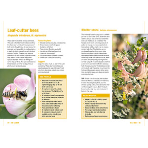 BEE GARDEN. ALL YOU NEED TO KNOW IN ONE CONCISE MANUAL 3