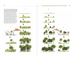 REWILDING IBERIA. EXPLORANDO EL POTENCIAL DE LA RENATURALIZACIÓN EN ESPAÑA 3