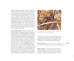 MOROCCO: SHARING THE BIRDS. A SOUND APPROACH GUIDE TO BIRDS OF THE MAGHREB 3