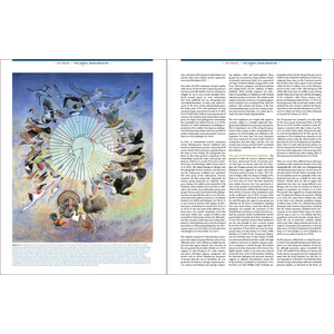 THE LARGEST AVIAN RADIATION. THE EVOLUTION OF PERCHING BIRDS, OR THE ORDER PASSERIFORMES 7