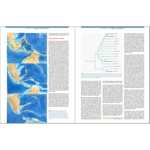 THE LARGEST AVIAN RADIATION. THE EVOLUTION OF PERCHING BIRDS, OR THE ORDER PASSERIFORMES_1