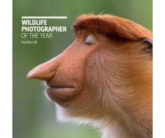 WILDLIFE PHOTOGRAPHER OF THE YEAR. PORTFOLIO 30