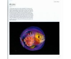 WILDLIFE PHOTOGRAPHER OF THE YEAR. PORTFOLIO 30 2