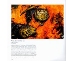 WILDLIFE PHOTOGRAPHER OF THE YEAR. PORTFOLIO 30 3