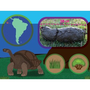 EXCREMENTUM. UN LLIBRE DE CAQUES BESTIALS_1