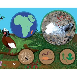 EXCREMENTUM. UN LLIBRE DE CAQUES BESTIALS 3