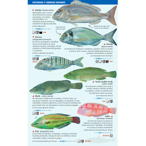 PECES COSTEROS DEL MAR BALEAR. MINIGUIA DE MAR 3