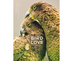 BIRD LOVE. THE FAMILY OF BIRDS