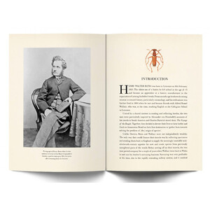 A NATURALIST IN THE AMAZON: THE JOURNALS & WRITINGS OF HENRY WALTER BATES_1